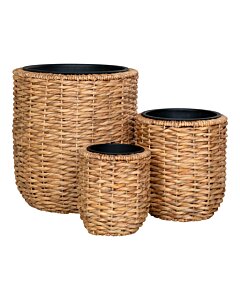 Hanoi Planteskjuler - Planteskjuler, vandhyacinth, natur sæt af 3