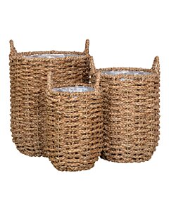 Hue Kurve - Kurve, søgræs, natur sæt af 3