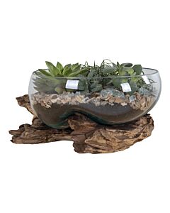 San Marino Waterdrop - Vanddråbe i teaktræ og glas, natur, h20 cm