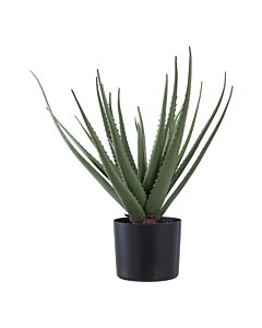 Aloe Vera - Kunstig plante, grøn H:51 cm