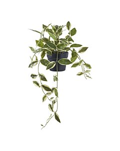 Voksblomst - Kunstig plante, grøn H:33 cm