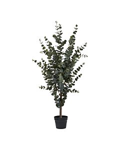 Eukalyptus Træ - Kunstig plante, grøn H:120 cm
