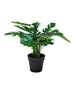Monstera - Kunstig plante, grøn H:45 cm