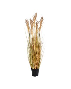 Sorghum Grass - Kunstig plante, natur H:110 cm