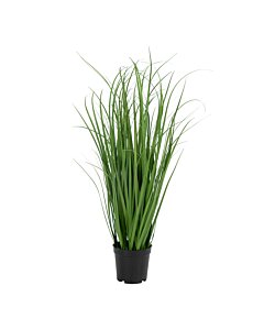 Poa Græs - Kunstig poa græs, grøn H:68 cm