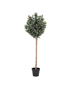 Oliventræ - Kunstig plante, grøn H:150 cm