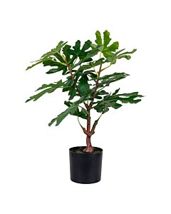 Figentræ - Kunstig plante, grøn H:60 cm