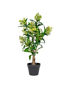 Skimmia Træ  - Kunstig plante, grøn H:75 cm