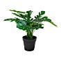 Monstera - Kunstig plante, grøn H:45 cm