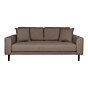 Lido 2,5 Personers Sofa - 2,5 Personers Sofa, brun med to puder og sorte træben, HN1055