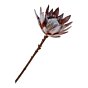King Protea Buket - Kunstige blomster, rosa mix H:74 cm