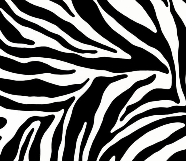 Lenco selvklæbende folie - Zebra - 45x200 cm.