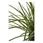 Græs - Kunstig plante, grøn H:45 cm