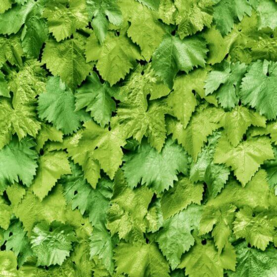 Lenco selvklæbende folie - Leaves- 45x200 cm.