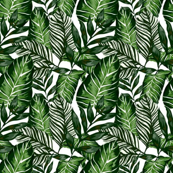 Lenco selvklæbende folie - House Plants - 45x200 cm.